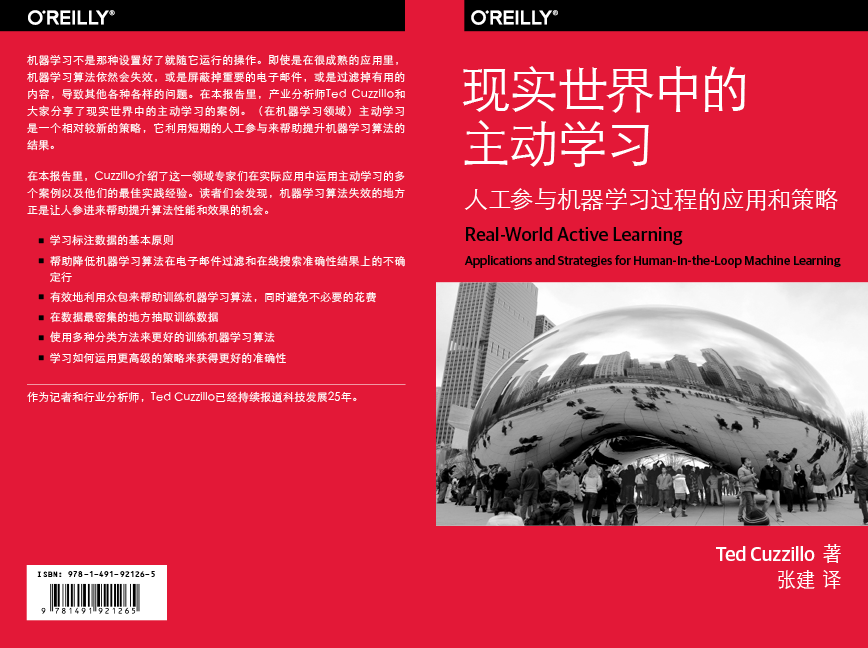 現(xiàn)實世界中的主動學(xué)習(xí)