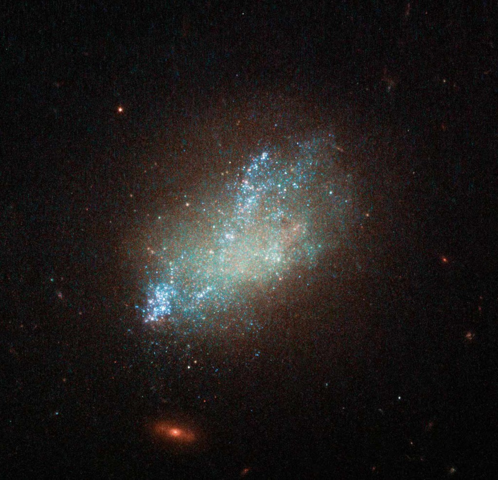 3_A_spattering_of_blue_CROP-df5e686668c909d5448f2bb08f841b62